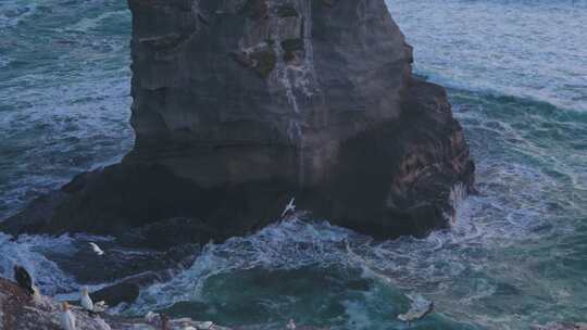 鸟儿从岩石群中飞过海洋