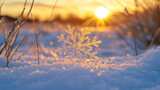 冬季唯美雪花空镜头冬天雪景阳光照耀温暖高清在线视频素材下载