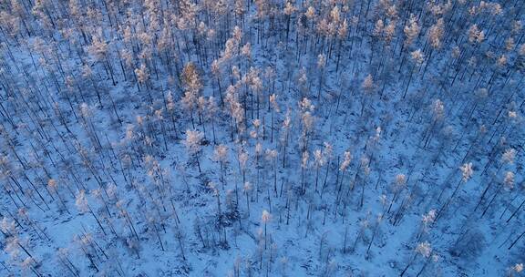 航拍大兴安岭冬季雪色山岭暮色