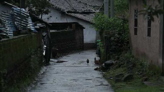 村舍小道视频素材模板下载