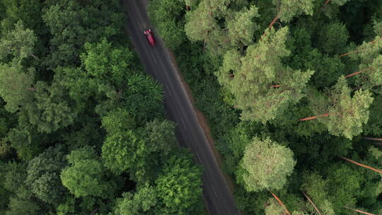 航拍汽车驶过森林公路