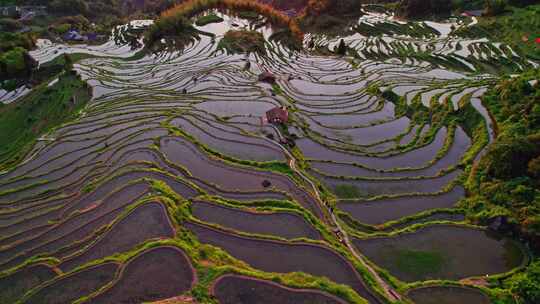 浙江丽水云和梯田日出日落风光