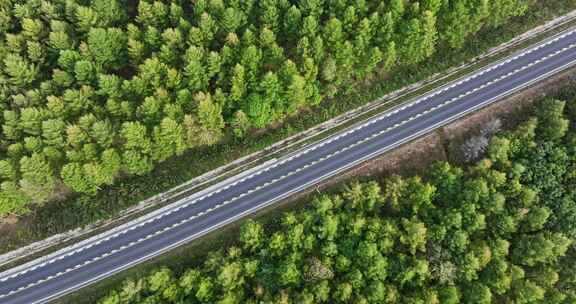 森林里的公路