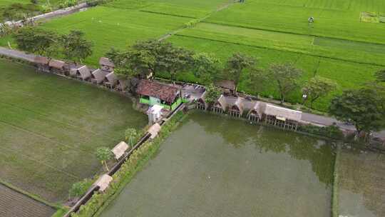 鸟瞰，班图尔普莱雷特村稻田的美丽景色，姆布拉克·威尔克尔旅游的地方