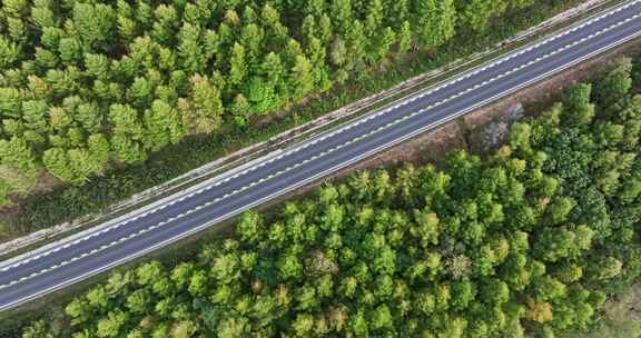 森林中的道路航拍