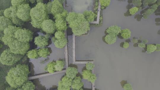 青山湖绿道