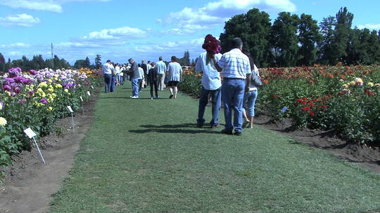 游客参观美丽的花田