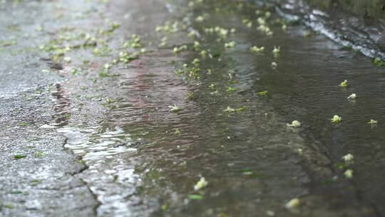 下雨天路面雨水雨滴地面视频素材模板下载