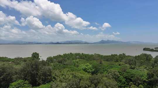 4K深圳福田区红树林