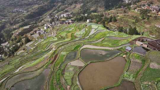 贵州黔东南自治州肇兴堂安侗寨梯田航拍风光