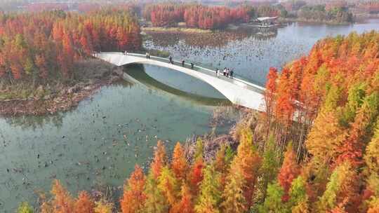 南昌高新区鱼尾洲湿地公园航拍