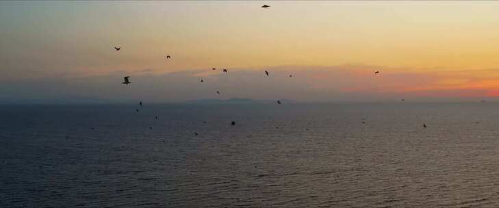 海鸥飞翔唯美大海日出朝阳夕阳日落黄昏