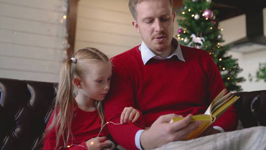 圣诞节父亲陪女儿读书