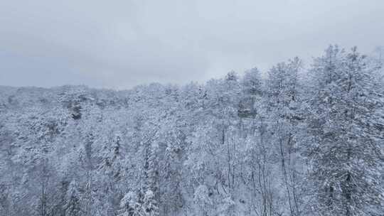 航拍山脉森林雪景