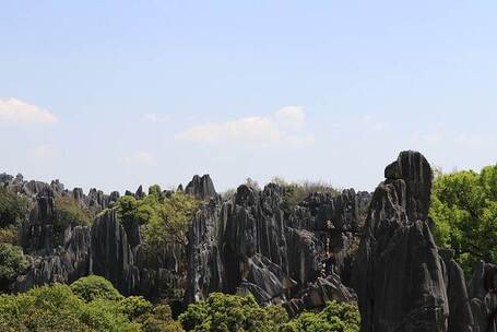 虚拟之声 - 科技、虚拟、未来 - 科