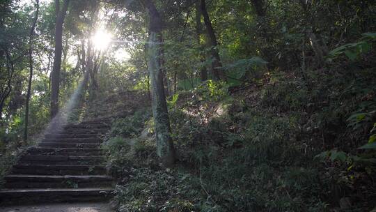 杭州玉皇山景区紫来洞