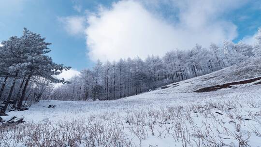 6k冬天山川树林冰雪延时摄影