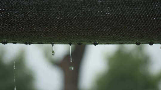 阴天下雨涟漪水珠滴水慢镜头