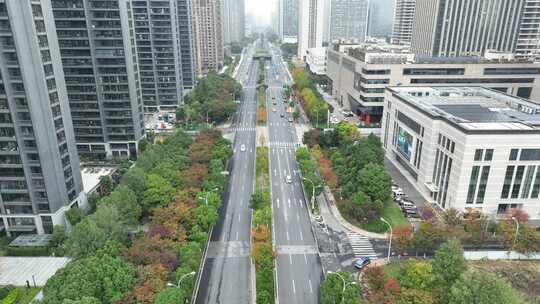 城市道路鸟瞰，绿树成荫的宽阔马路