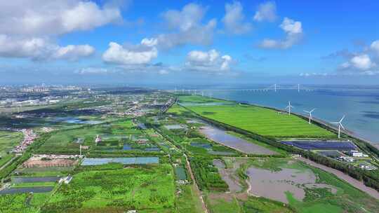 上海长兴岛生态