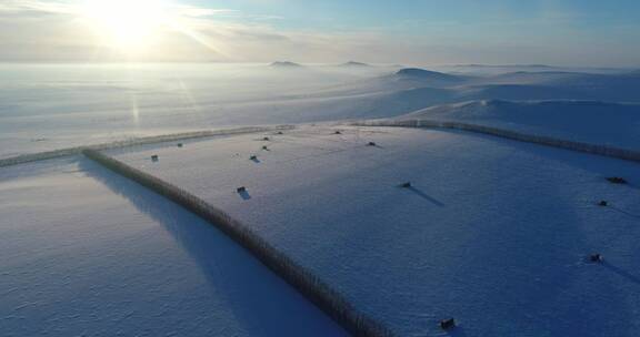 航拍内蒙古垦区雪域雪原风光