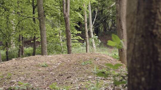 男人骑着山地车穿过林地的泥土小径视频素材模板下载