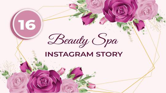 美容水疗和沙龙Instagram故事包分屏促销AE模板