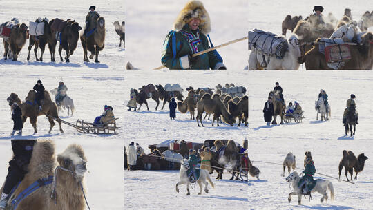 【10条合集】蒙古族民俗传统文化-49高清在线视频素材下载