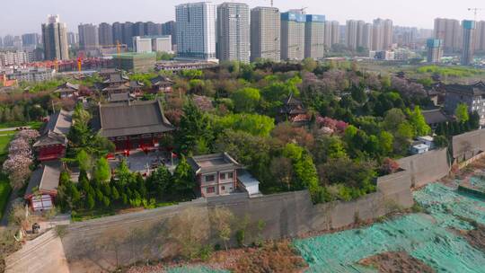 西安青龙寺樱花