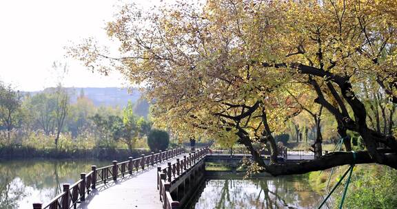 中国杭州阿里巴巴园区秋日美景