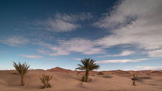 默祖加沙漠延时拍摄