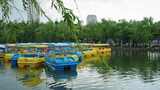 公园游船翠湖划船阴天3701高清在线视频素材下载