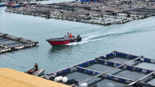 航拍 海边 农村 渔村 三农