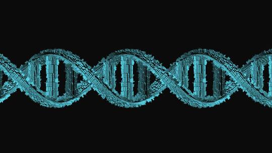 双螺旋DNA动画循环
