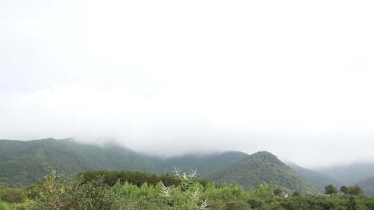 森林山峰大自然风景