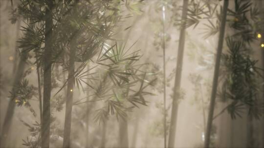 清晨薄雾笼罩着竹林视频素材模板下载