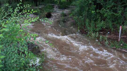 森林中 山泉小溪水