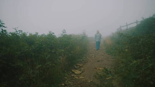 女人步行在路径上