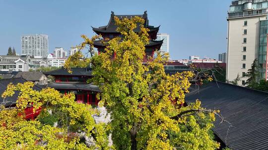 航拍秋日里的南京毗卢寺风光