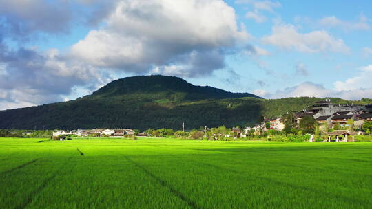阳光打在山下的绿色稻田上