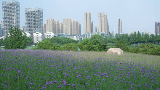 武汉市汉阳区墨水湖公园