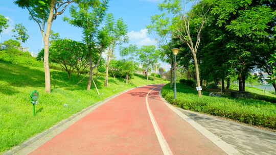 阳光林荫小路 跑道 绿道 骑行道