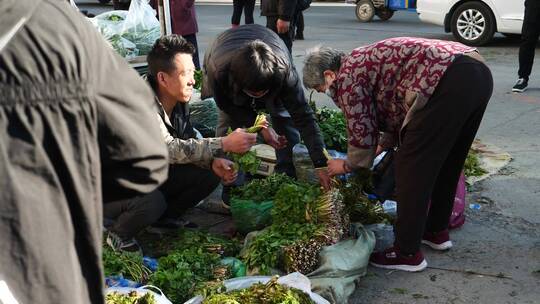 东北农村春天山野菜集市视频素材模板下载