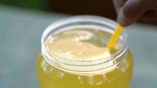 蜜蜂 养蜂人 蜂农