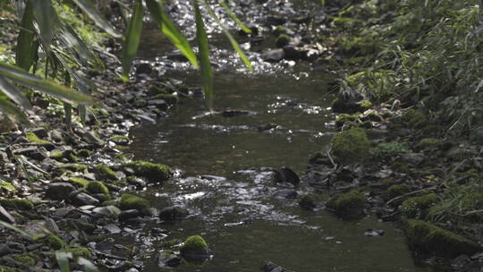 杭州西湖 灵隐寺 园林 森林 山水 庭院 安缦