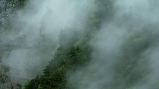 云雾缭绕的人间仙境