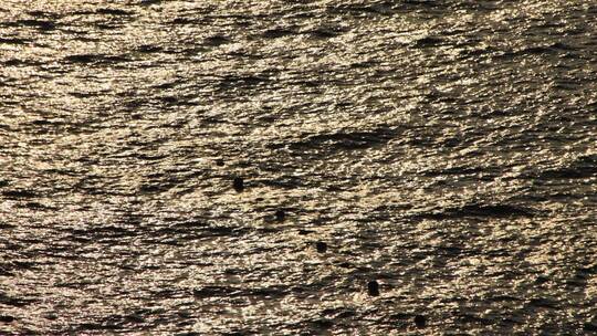 威海市环海路下波光粼粼的海面
