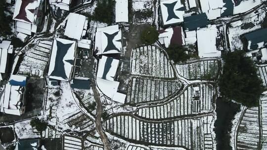 合集美丽乡村农田雪景4K航拍
