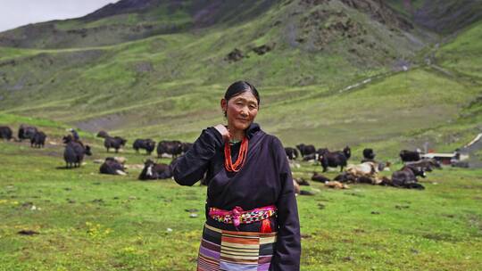 西藏那曲萨普神山下的牧民视频素材模板下载