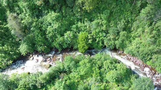 森林高山溪水河流树林雨林岩石湖泊航拍素材